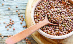 العدس بدلاً من الرز والبطاطا .. لصحة أفضل