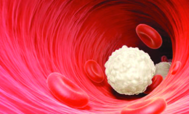 انخفاض مستوى الخلايا اللمفاوية في الدم ينذر بالموت المبكر