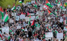 منظمات عربية أميركية تدعو للتظاهر في ديربورن .. من أجل فلسطين والصحافية الشهيدة شيرين أبو عاقلة