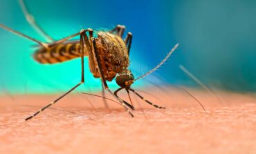 وزارة الصحة ترصد فيروساً خطيراً ثانياً بين أسراب البعوض في ميشيغن .. وتدعو السكان إلى توخي الحذر