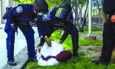 متظاهرون مؤيدون للقضية الفلسطينية يقاضون جامعة «وين ستايت» بدعوى انتهاك حقوقهم الدستورية