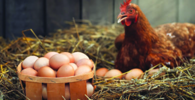 الحكومة الفدرالية  تقاضي ولاية ميشيغن بسبب البَيض