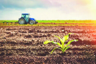 ارتفاع‭ ‬أسعار‭ ‬الوقود‭ ‬والأسمدة‭ ‬الزراعية‭ ‬