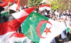 بمبادرة من البلدية.. كأس العالم يجمع الجاليات العربية في قلب ديربورن